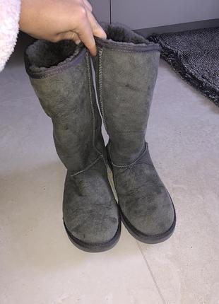 Ugg угги оригінал чоботи високі овчина оригинал высокие натуральные овчина