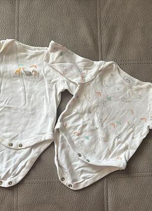 Бодік 2-3 місяці