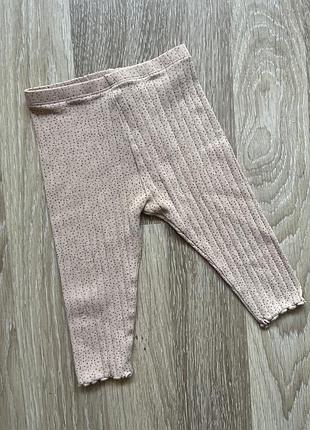 Лосини в рубчик