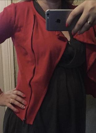 Піджак/куртка/косуха