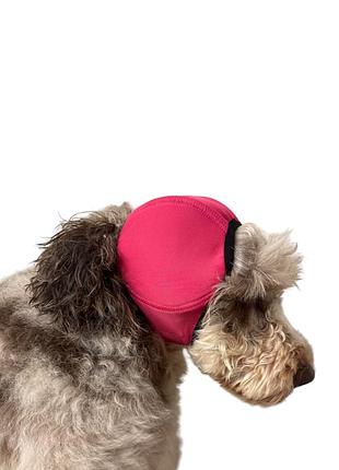 Захисна шумопоглинаюча шапка хомут для вух собак розмір m рожева
