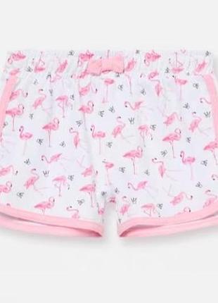 Шорти, сінсей