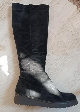 Замшевые ботфорды