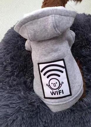 Товстовка,худі wifi тепла для тварин
