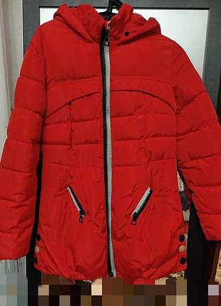 Куртка осень-зима