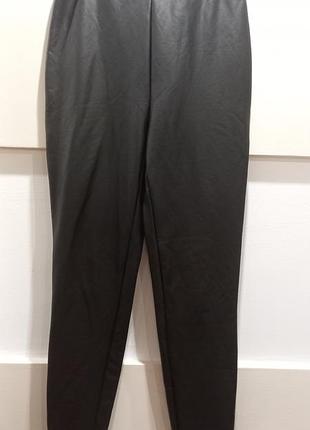 Нові молодіжні лосіни