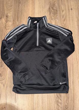 Напів зіпка