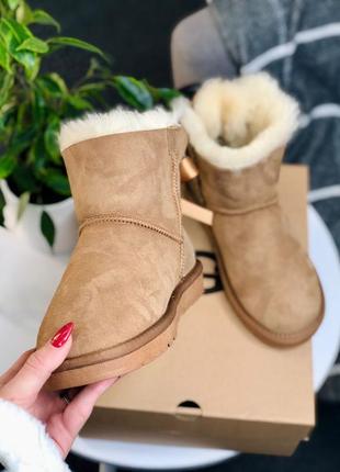 Трендовые угги ugg mini bailey bow || boot beige1 фото