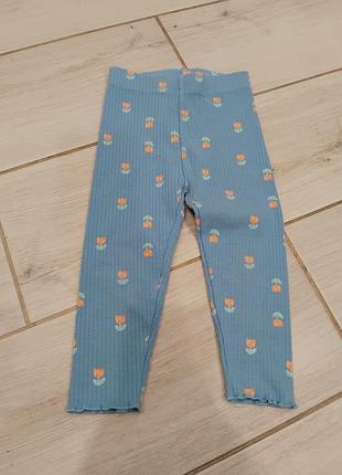 Лосины next для девочки