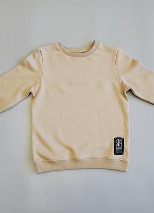 Утепленный свитшот для мальчиков