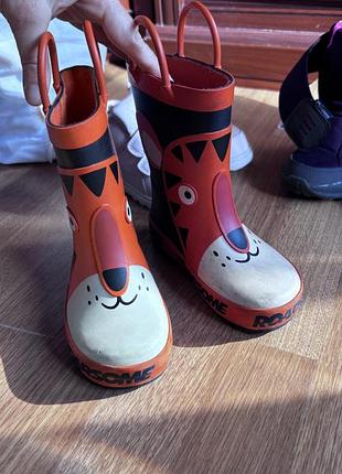 Гумові чоботи
