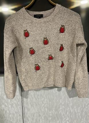 Жіночий светр з милими совушками) без нюансів