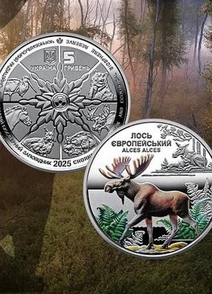 Монета нбу лось європейський