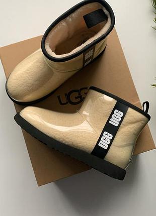 Зимові угги ugg classic clear mini ii vanilla