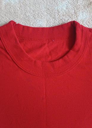 Футболка на мальчика/девочке 4-5 лет в очень красивом состоянии.