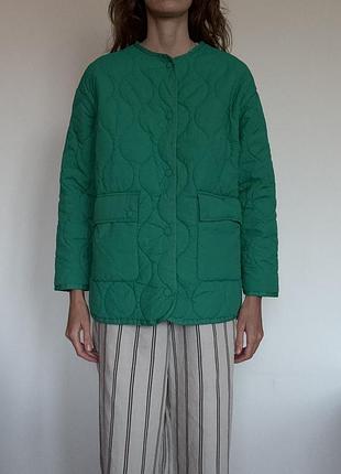 Новий лайнер, куртка