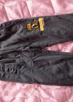 Спортивные штаны