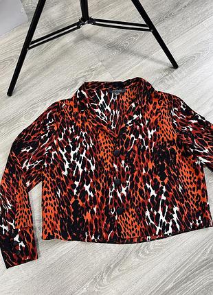 Жіноча трендова сорочка