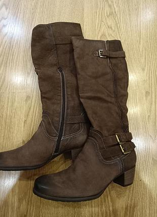 Продам сапоги осенние