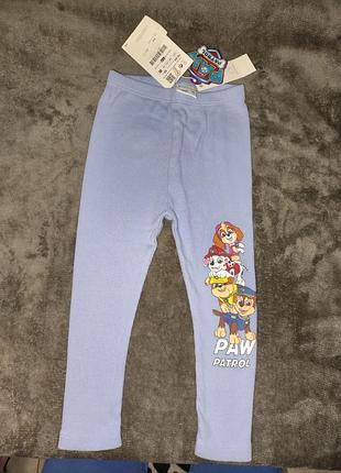 Лосины леггинсы zara