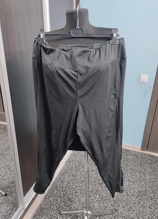 Лосіни спортивні великий розмір