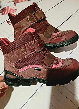 Ботинки детские термо, бордовые, р 37, ecco