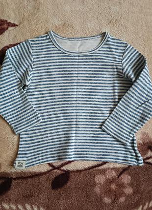 Реглан хлопковый на мальчика