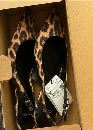 Слінгбеки манго