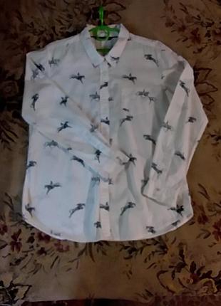 Рубашка жокей конячки котон