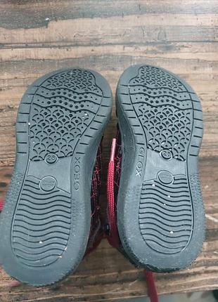 Демисезонные сапожки geox 5