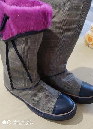Чоботи жіночі
