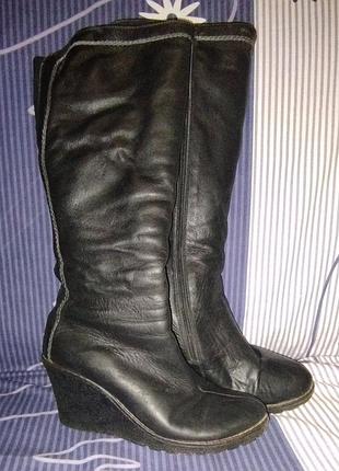 Черевики carnavale