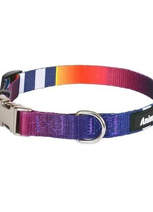Ошейник animall hl-c-t001a l-3 2.5x40-65 см абстракция разноцветный (2000981199173)