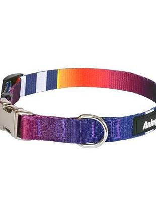 Ошейник animall hl-c-t001a s-3 1.5x28-40 см абстракция разноцветный (2000981199050)