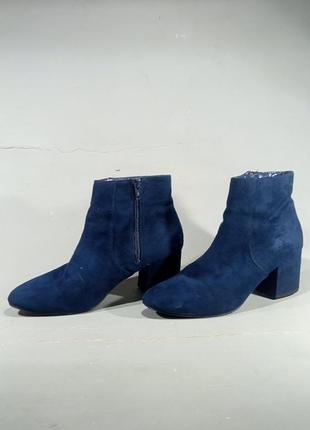 Напівчобітки замшеві жіночі на каблуку 5 см халяви 11 см  principles 39 розміру устілка 24