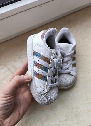 Оригінальні кросівки hoodie adidas superstar