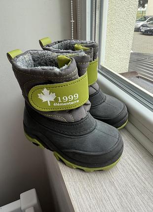 Чоботи осінь-зима