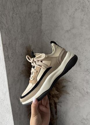 Кросівки massimo dutti