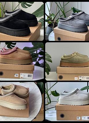 Шикарні зимові жіночі уги на платформі ugg tasman platform замшеві чорні сірі бежеві хакі