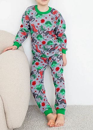 Пижама для мальчика с брюками динозавры 19082