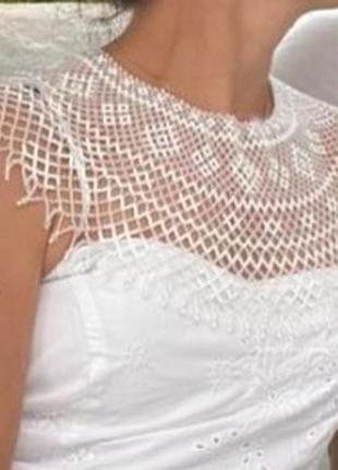 Широка прозора силянка