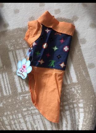 Новогодняя рубашка для кота / одежда для собак / одежда для кота