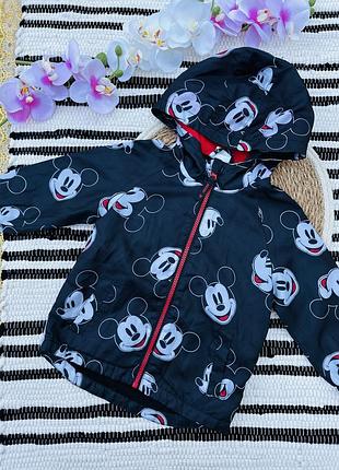 Вітровка утеплена