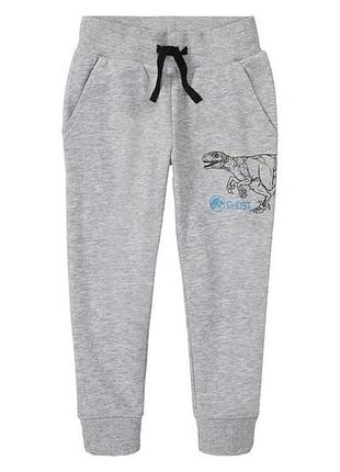 Спортивні штани джоггери pepperts