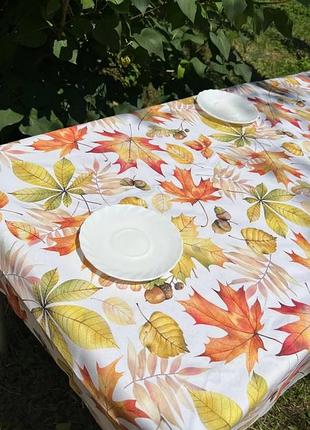 Водовідштовхуючі тефлонові скатертини