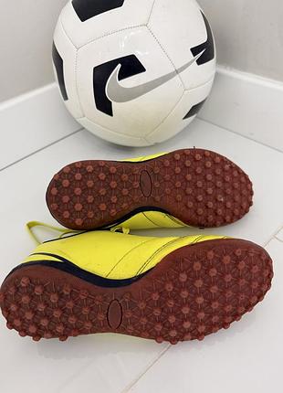 Сороконіжки 5