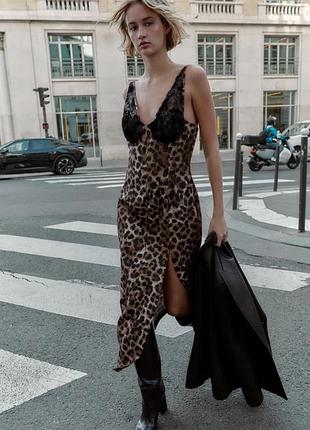 Кружевное платье миди с животным принтом