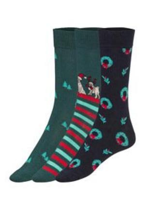 Рождественские новогодние мужские носки livergy