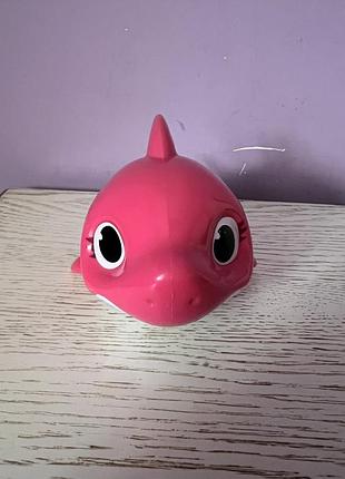 Акула яка плаває у воді