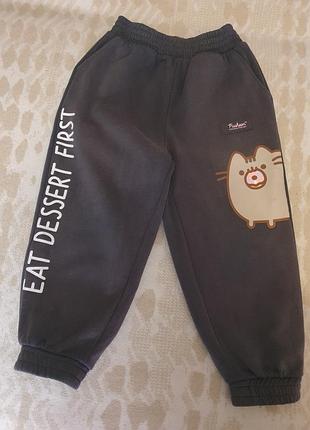 Штаны спортивные теплые с популярным котиком pusheen 110-116 р